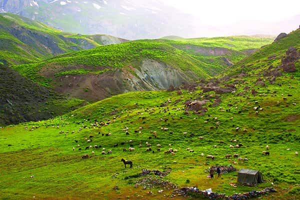 زمین در ساوجبلاغ